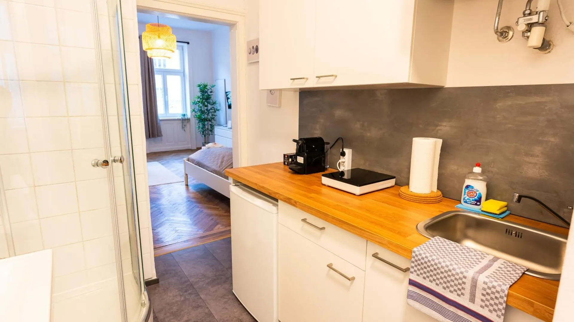 Vienna City Apartment Traisengasse